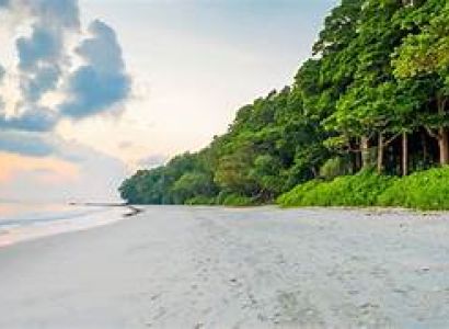 Neil Island Tour Packages