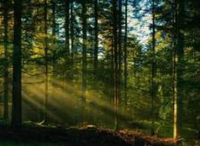 1 Night 2 Days - Vagamon Tour