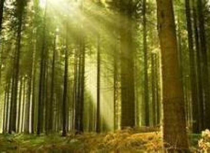 2 Nights 3 Days - Kodaikanal Tour