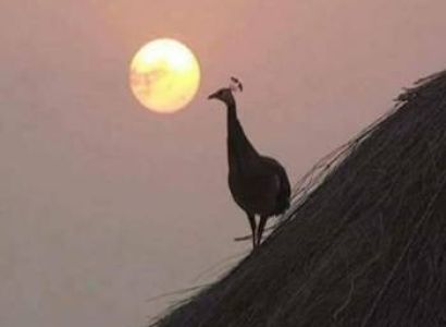 Golden Triangle With Desert Tour