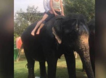 Golden triangle with wildlife tour