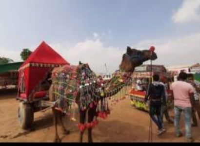 Golden Triangle With Desert Tour