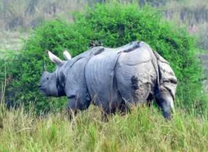 06 NIGHTS 7 DAYS ARUNACHAL PRADESH PACKAGE