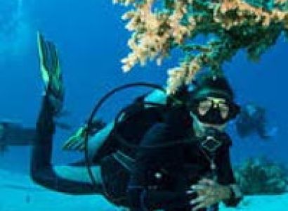 Amazing Andaman Tour