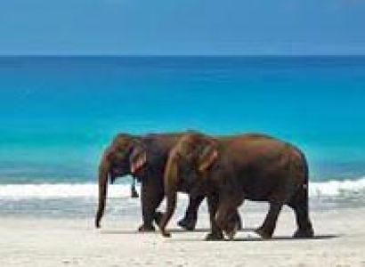 Andaman Island Honeymoon Tour