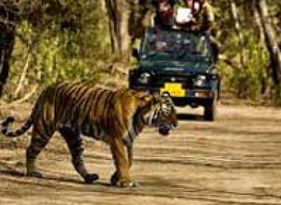 Jim Corbett with Nainital Tour
