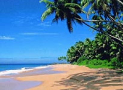 Delightful Goa Vacation Tour