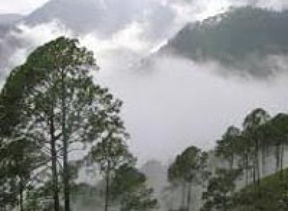 Corbett with Nainital Tour