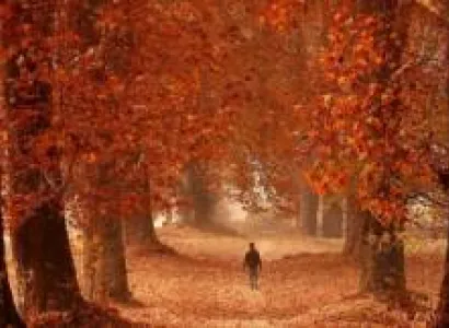 Kashmir Autumn Carnival Tour