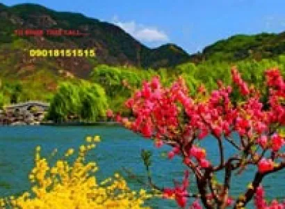 Srinagar - Gulmarg - Pahalgam Tour