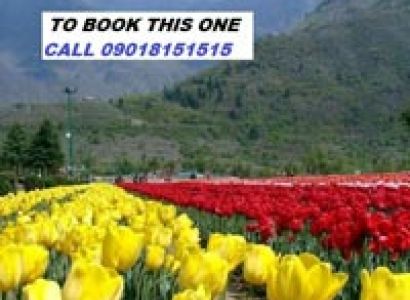 Kashmir Vaishno Devi Tour Package