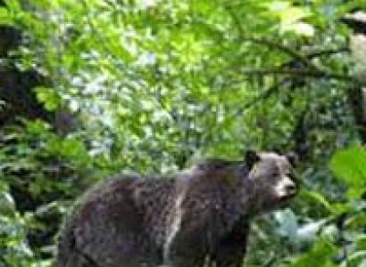 Piperiya - Pachmarhi - Jabalpur - Hill Tour - Jabalpur 3 Nights / 4 days