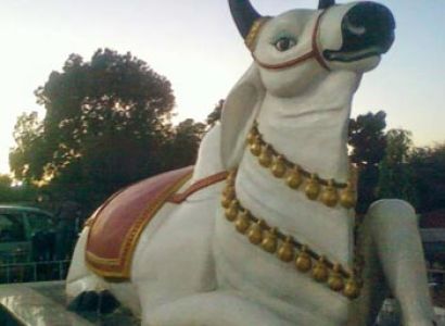 Pachmarhi Honeymoon Tour