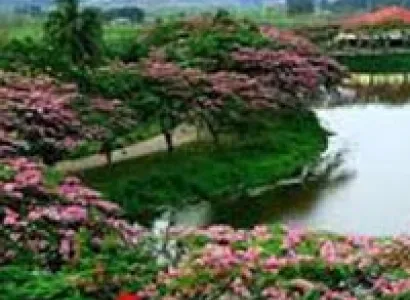 Beautiful Shillong with Guwahati Tour