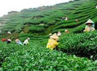 7 Days Guwahati with Shillong Tour