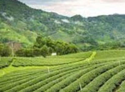 Assam Nagaland Tribal Tour