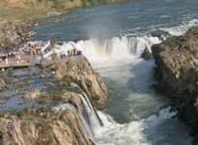 Holiday Wild Life Tour