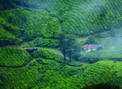 Evergreen Kerala Package