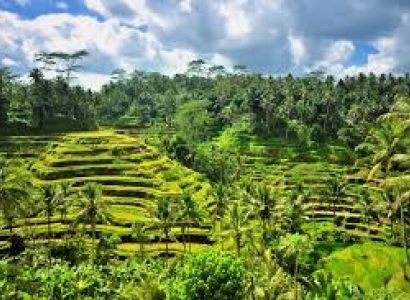 Wonder of Malysia or Bali