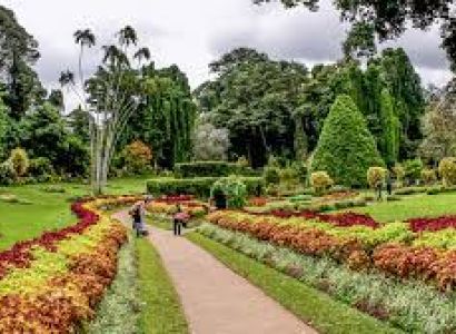 Sri Lanka Group Explore  Ex - Delhi Tour