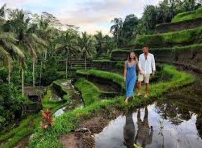 Wonderful Bali with Private Pool Villa - Vegetarian Special