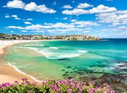 Cricket Fan Australia Tour all Inclusive