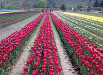 Heaven At Earth Kashmir Tour