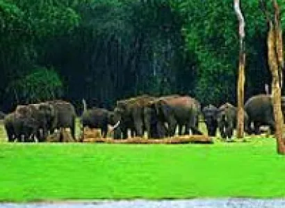 Packages in Thekkady