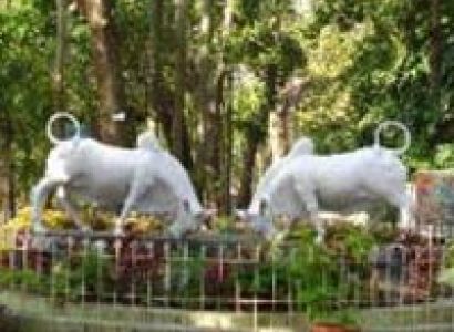 South India Package - Chennai for 4Nights/5Days Tour