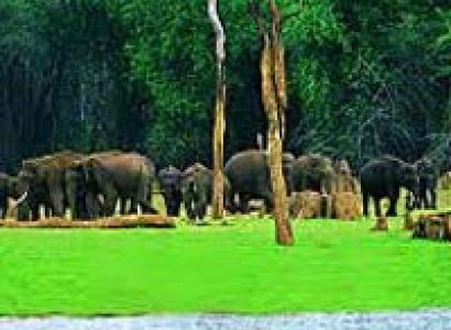 South India Package- Kerala for 7 nights/8days Tour