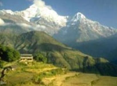 Delhi - Nainital - Delhi Tour