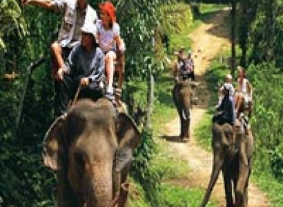 3 Days Periyar Tour with Tree house