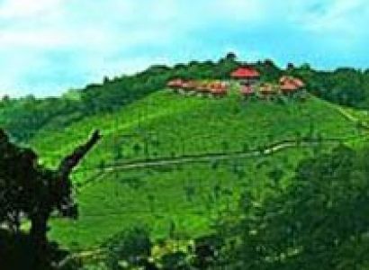 Short Escape to Wayanad Tour