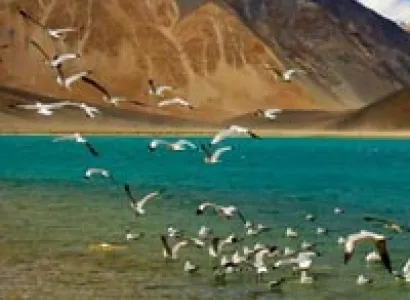 Ladakh Honeymoon Tour