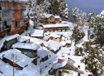 Shimla Calling Tour