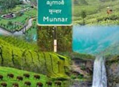 Packages in Thekkady