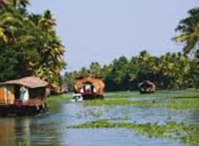 Packages in Thekkady