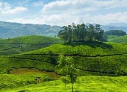 Glorious Munnar Tour