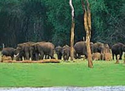 Green Paradise of Kerala Tour