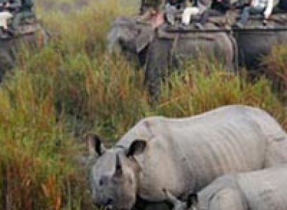 Indian Northeast Wonder Tour