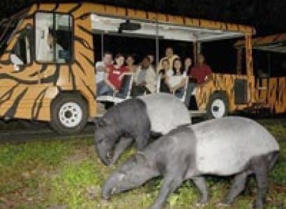 Malaysia With Singapore Tour