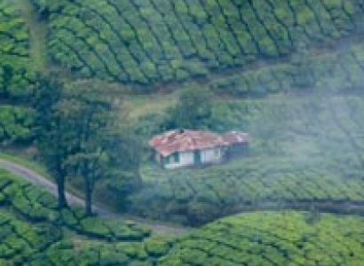 Packages in Thekkady