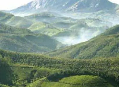 Packages in Thekkady