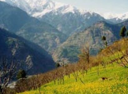 Splendour Of Himachal Tour