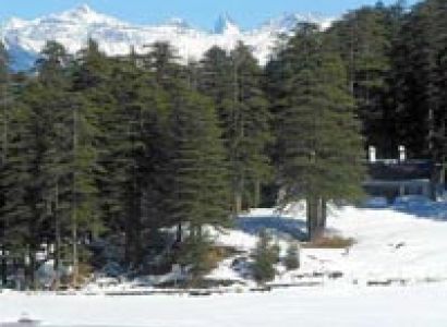 Splendour Of Himachal Tour