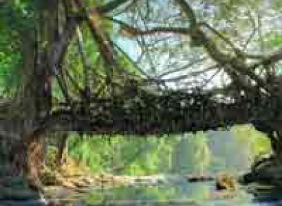 Indian Northeast Wonder Tour