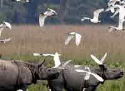 Indian Northeast Wonder Tour