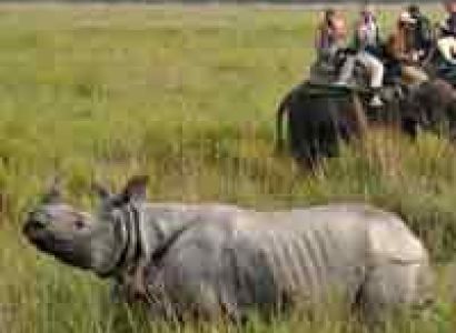 Indian Northeast Wonder Tour