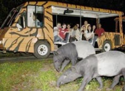 Fascinating Far East (Singapore, Thailand & Malaysia) Package