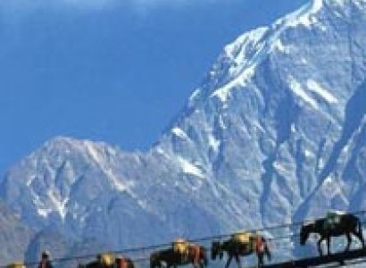 SIKKIM VOYAGE - ENCHANTING HIMALAYA